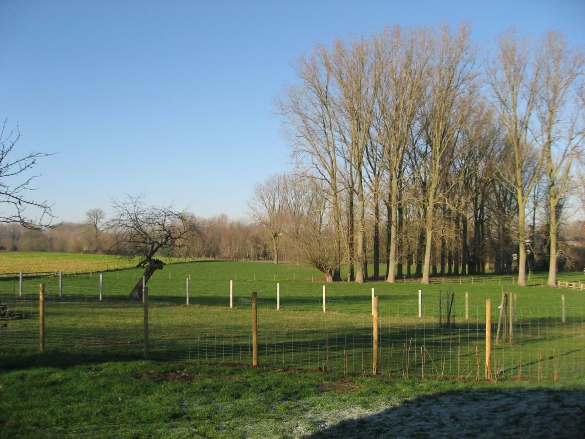 Vakantiewoning Tilia Zottegem Zewnętrze zdjęcie